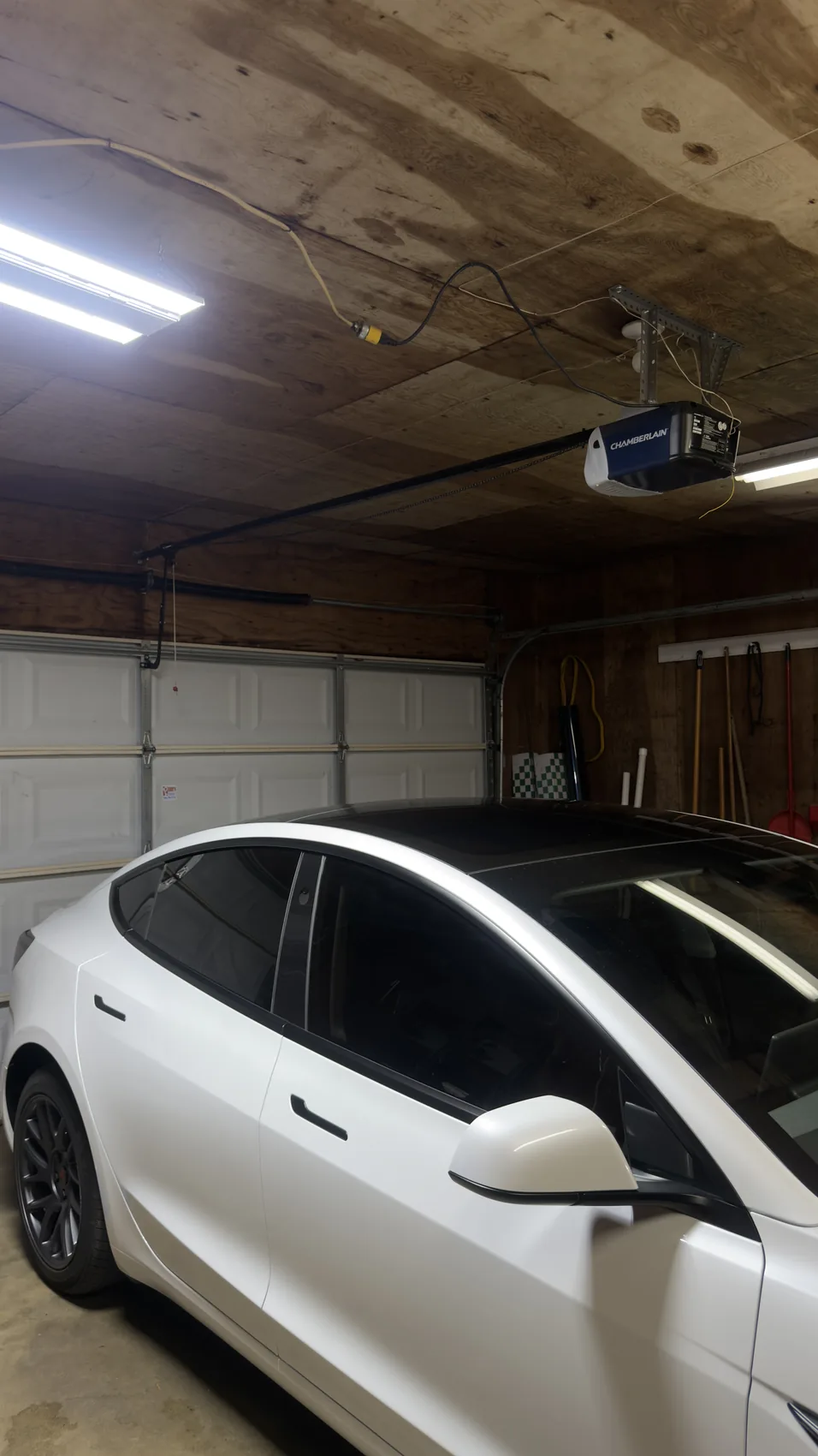 Tesla Side Window Tint project photo